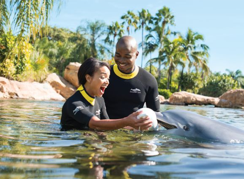 discovery cove orlando packages package swim dolphin